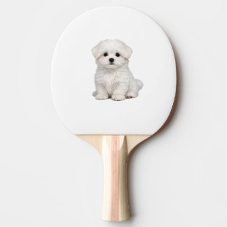 Fluffiges weißes Malteser-Welpenporträt Süßer Hund Tischtennis Schläger