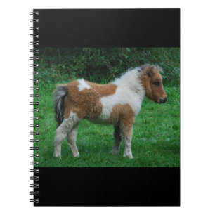 Fluffy Adorable Dartmoor Pony Notizblock