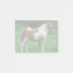 Fluffy Adorable Dartmoor Pony Post-it Klebezettel