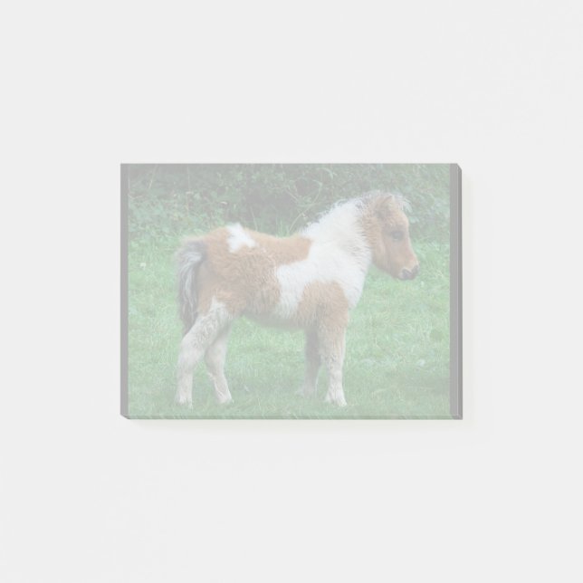 Fluffy Adorable Dartmoor Pony Post-it Klebezettel (Vorderseite)