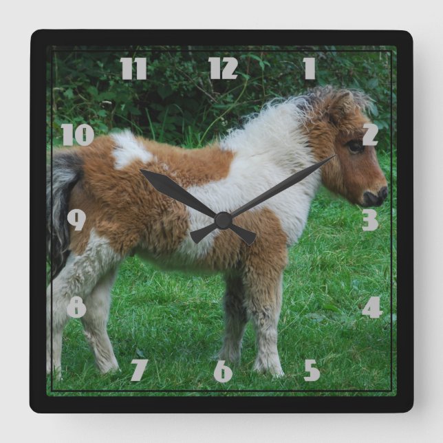 Fluffy Adorable Dartmoor Pony Quadratische Wanduhr (Vorderseite)