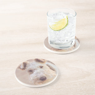 Fluffy Airedale Welsh Terrier Type Doppy Welpe Getränkeuntersetzer