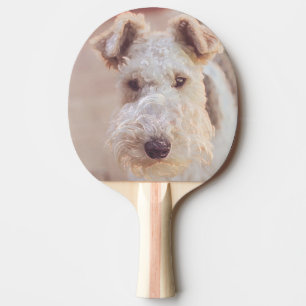 Fluffy Airedale Welsh Terrier Type Doppy Welpe Tischtennis Schläger