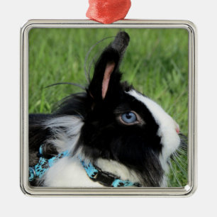 Fluffy Black and White Lionhead Bunny Rabbit Ornament Aus Metall
