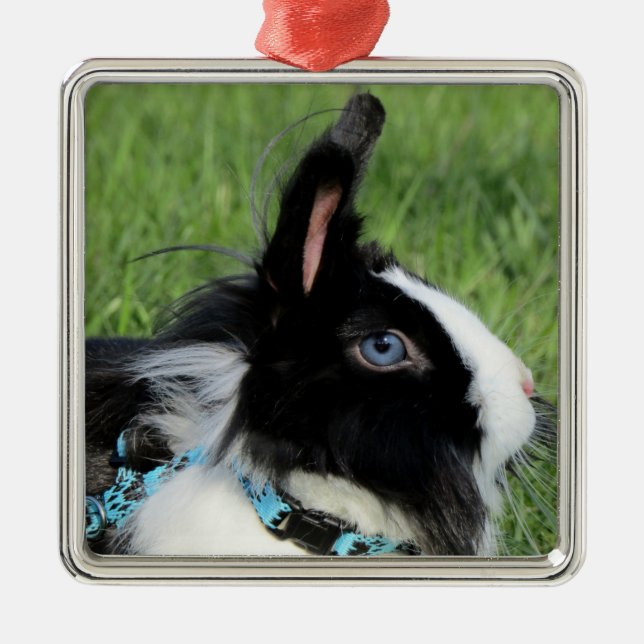 Fluffy Black and White Lionhead Bunny Rabbit Ornament Aus Metall (Vorne)