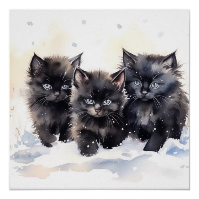 Fluffy Black Kittens Poster (Vorderseite)