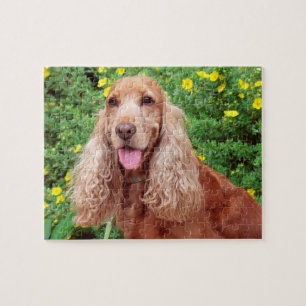 Fluffy Brown Dog Puzzle