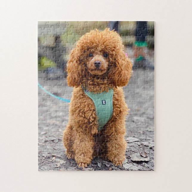 Fluffy Brown Poodle Puppy Dog Puzzle (Vertikal)