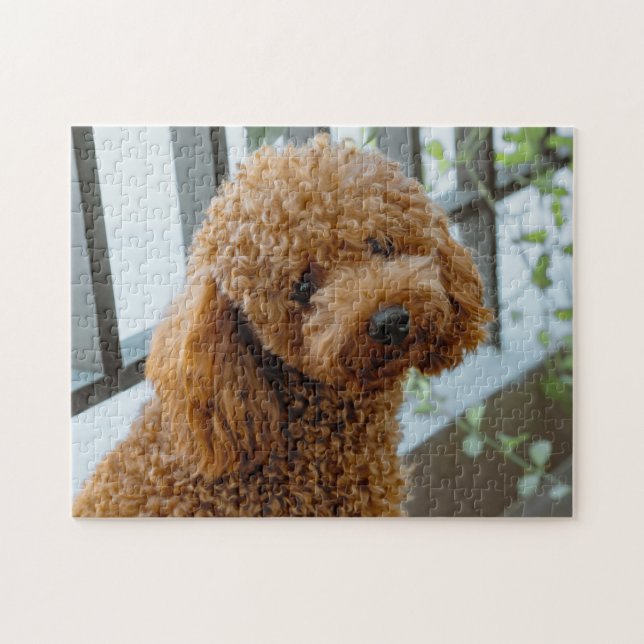 Fluffy Brown Poodle Puppy Dog Puzzle (Horizontal)