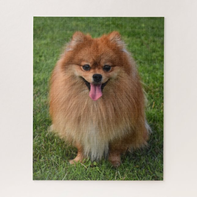 Fluffy Brown Spitz Puppy Dog Puzzle (Vertikal)