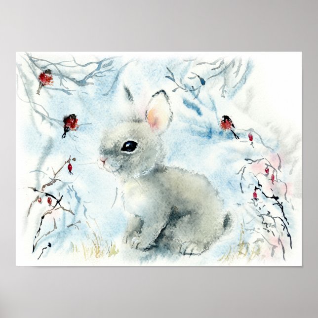 Fluffy Bunny im Schnee Poster (Vorne)