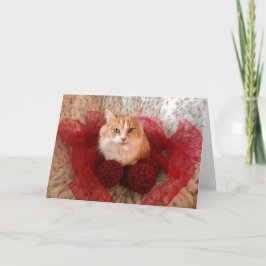 Fluffy Cat and Red Ribbon Holiday Greeting Card Karte
