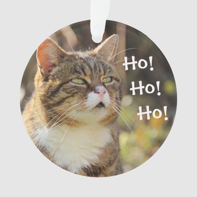 Fluffy Cat Christmas Niedlich Ornament (Vorderseite)