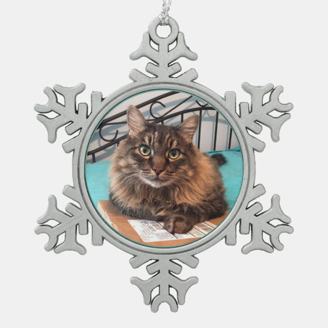 Fluffy Cat Ornament (Vorderseite)