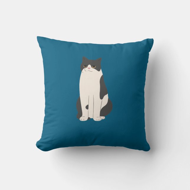 Fluffy Cat Pillow Aquamarin Kissen (Vorderseite)