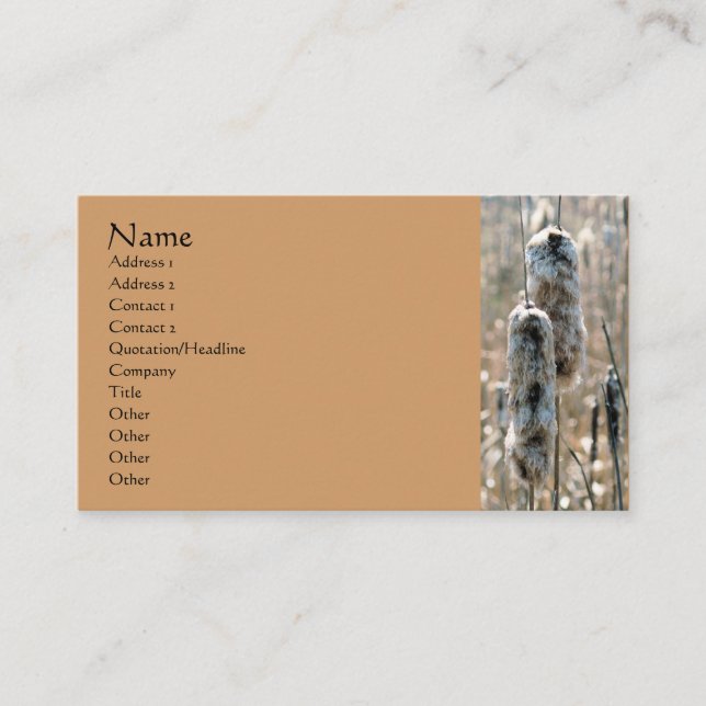Fluffy Cattails Nature Fotografy Business Card Visitenkarte (Vorderseite)
