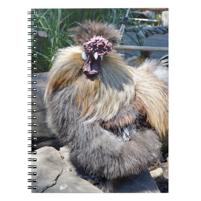 Fluffy Charm Imperfekt: Ein einzigartiges Silky Ro Notizblock (Vorderseite)