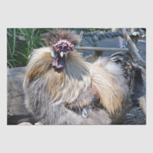Fluffy Charm Imperfekt: Ein einzigartiges Silky Ro Seidenpapier