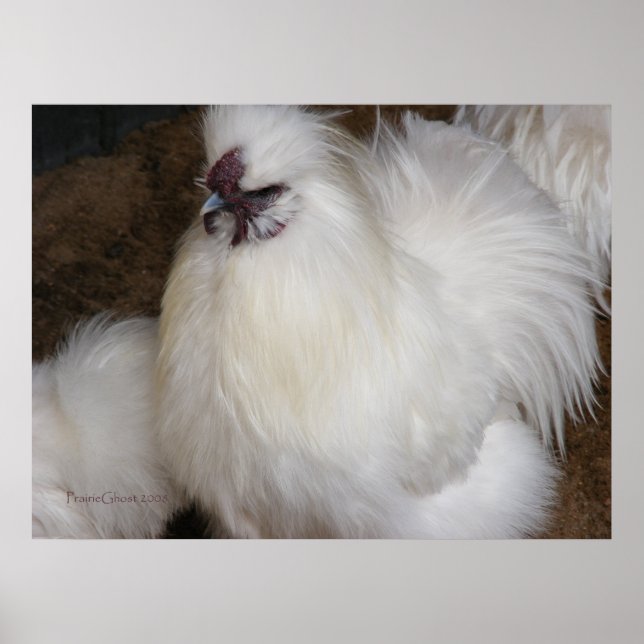 Fluffy Chicken 2 Poster (Vorne)