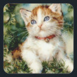 Fluffy christmas cat Watercolor Quadratischer Aufkleber<br><div class="desc">Katzenjungtier,  Vintage kleine künstlerische Malerei ,  liebevolle Baby-Illustration Mode,  Freude hübsche Malxmas,  bezaubernder Kopfschal,  Winterfarbfeline,  niedliche,  flauschige Cartoon-Skizze ,  Aquarellfeier lustig,  Jahr glücklich Kätzchen gezeichnet ,  neue Haustiere zeichnend Kunst ,  Weihnachtskatzentier, </div>