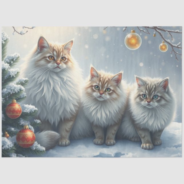 Fluffy Christmas Cats Tissue Paper Seidenpapier (Vorderseite)