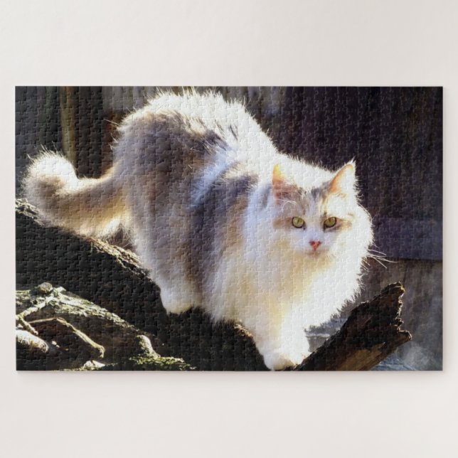 Fluffy Dilute Calico Maine Coon Cat Puzzle (Horizontal)