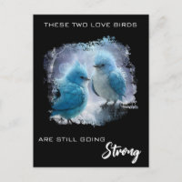 *~* Fluffy FOTO Love Birds AP54 Jahrestag