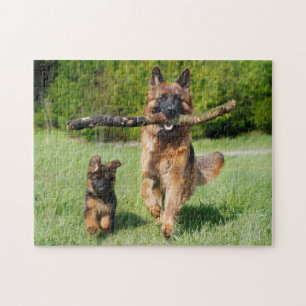 Fluffy German Shepherd Dog and Puppy Puzzle