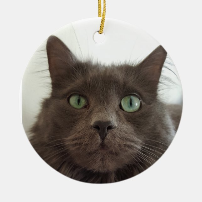 Fluffy Gray Cat Keramik Ornament (Vorne)