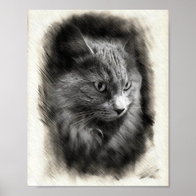 Fluffy Gray Cat Sketch - Soft Feline Portrait Art  Poster (Vorne)