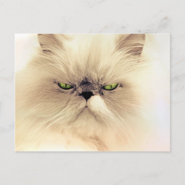 Fluffy Gruffy Kitty Postkarte (Vorderseite)