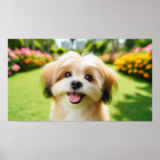 Fluffy Hund mit Big Eyes | Joyful Pet Image Poster