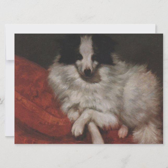 Fluffy Hund sitzend auf einem Kissen (Gustave Cour Karte (Vorderseite)