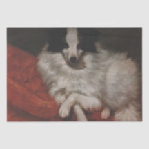 Fluffy Hund sitzend auf einem Kissen (Gustave Cour