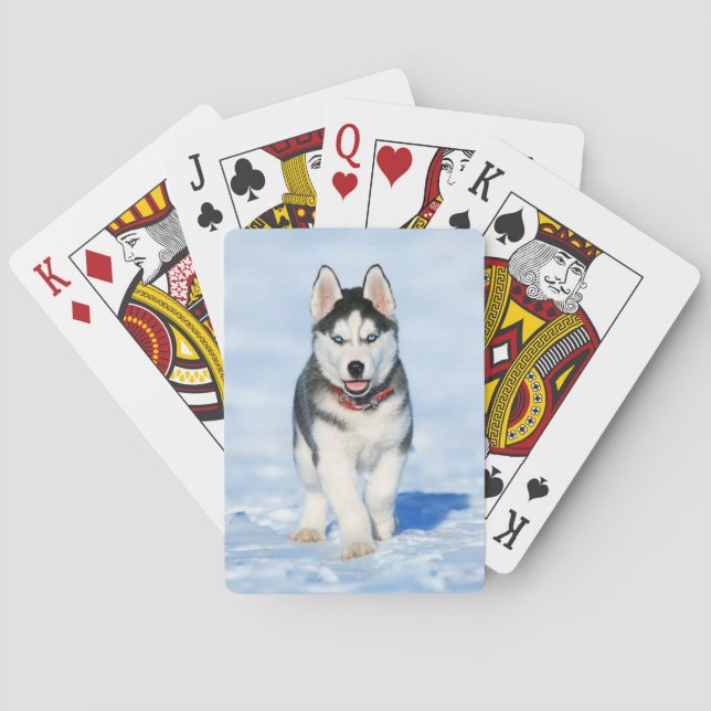 Fluffy Husky Welpe läuft im Schnee Spielkarten (Rückseite)