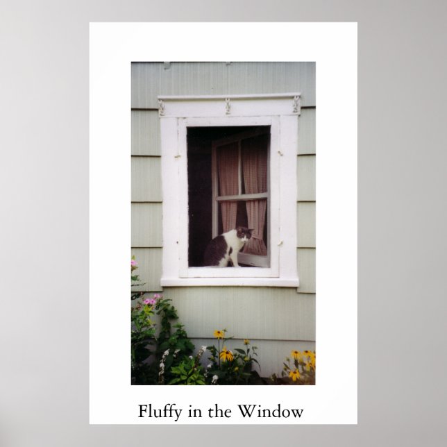 Fluffy im Fenster Poster (Vorne)