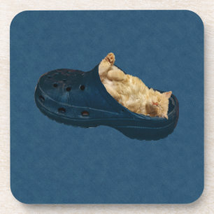 Fluffy Kitten Sleeping In Croc Shoe, Coasters Getränkeuntersetzer
