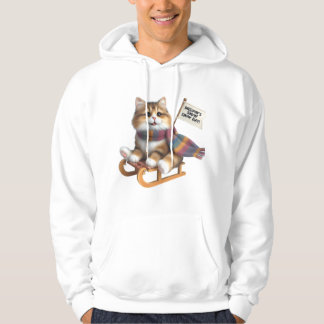 Fluffy Kitten Snow Day on Sled, Cute Cat in Scarf Hoodie