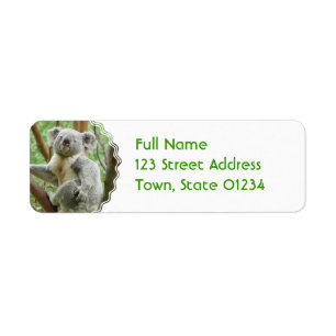 Fluffy Koala Mailing Labels