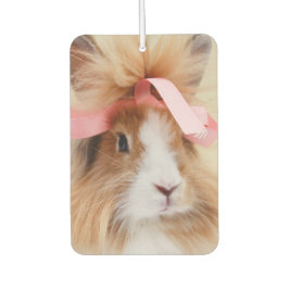 Fluffy Lionhead Bunny Rabbit Autolufterfrischer