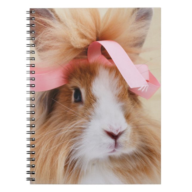 Fluffy Lionhead Bunny Rabbit Notizblock (Vorderseite)