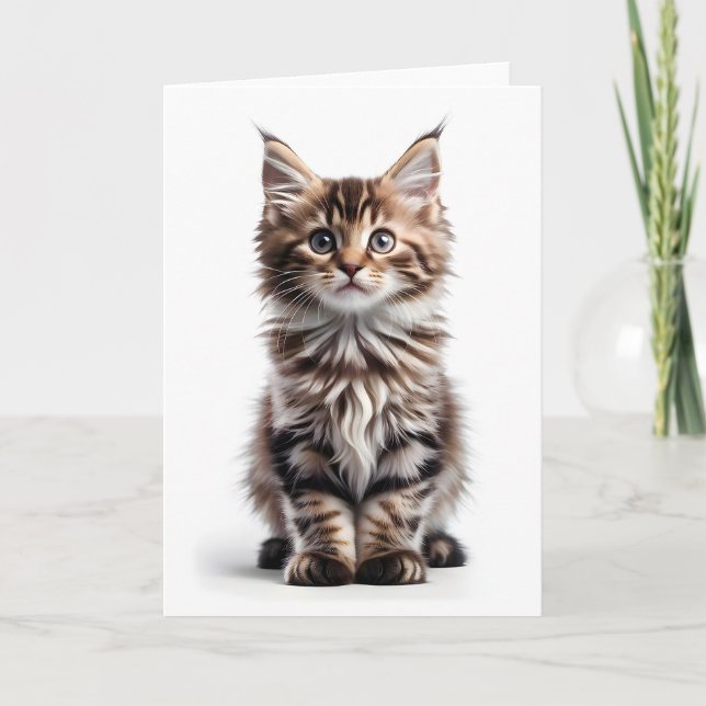 Fluffy Long-Hair-Maine-Coon-Cat-Blank-Gruß Karte (Vorderseite)