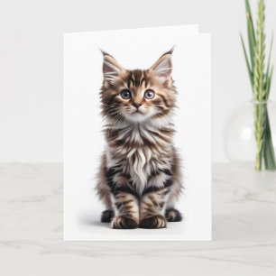 Fluffy Long-Hair-Maine-Coon-Cat-Blank-Gruß Karte