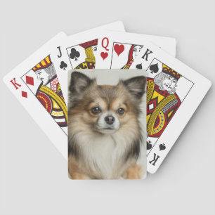 Fluffy Long Haired Chihuahua Puppy Dog Spielkarten