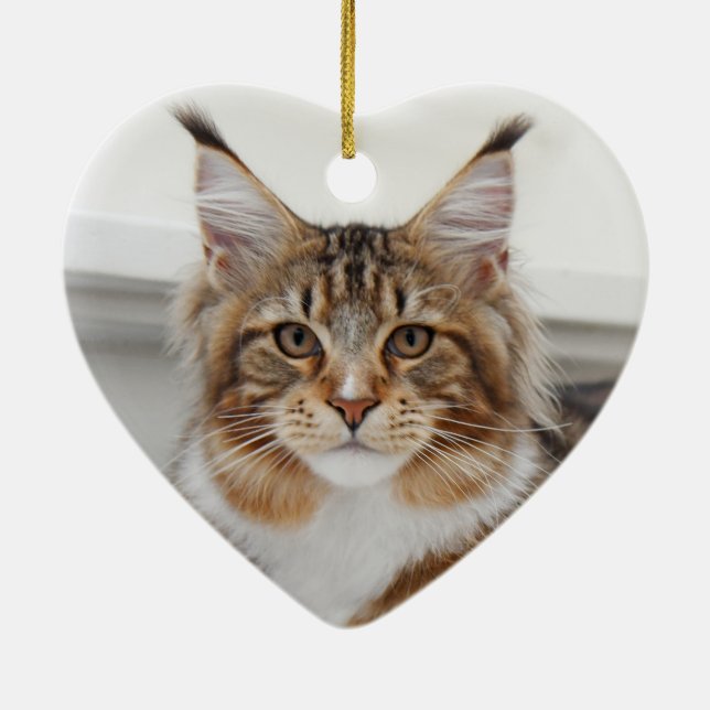 Fluffy Maine Coon Cat Keramik Ornament (Hinten)