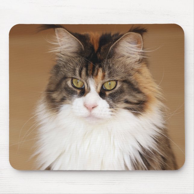 Fluffy Maine Coon Cat Mousepad (Vorne)