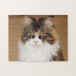 Fluffy Maine Coon Cat Puzzle