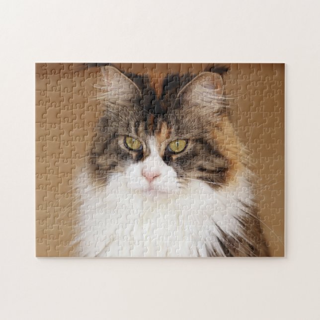 Fluffy Maine Coon Cat Puzzle (Horizontal)