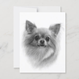 Fluffy Majesty - Handgemalt Chihuahua Portrait Postkarte
