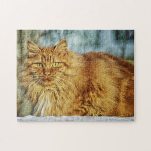 Fluffy Orange Tabby Maine Coon Puzzle